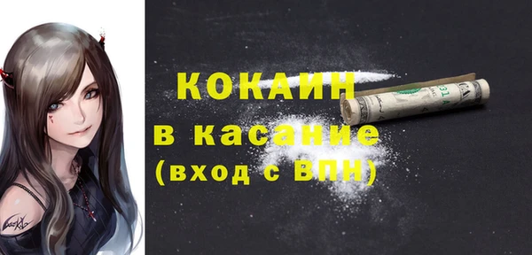 крисы Армянск