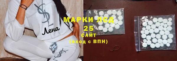 крисы Армянск