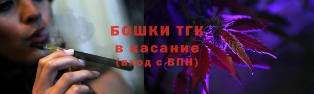 крисы Армянск