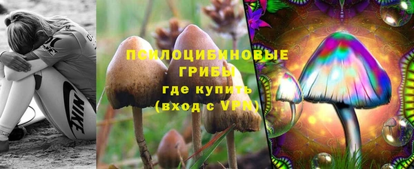 2c-b Арсеньев