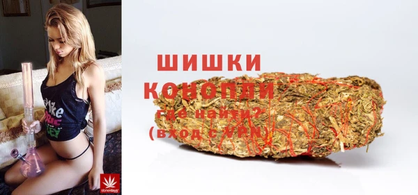 прущие грибы Баксан