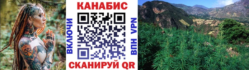 купить наркотики сайты  Новокубанск  Конопля семена 